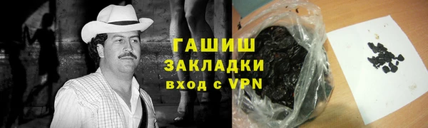 индика Бронницы
