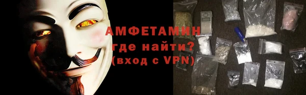 индика Бронницы