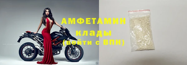 индика Бронницы