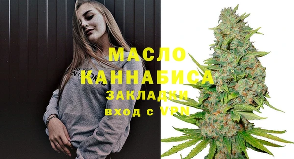 индика Бронницы