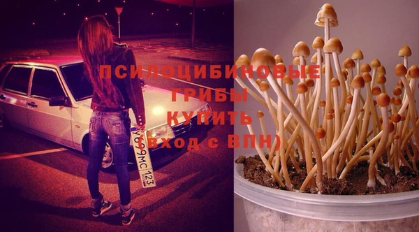 героин Бородино