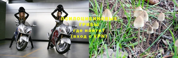 героин Бородино