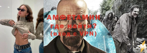 индика Бронницы