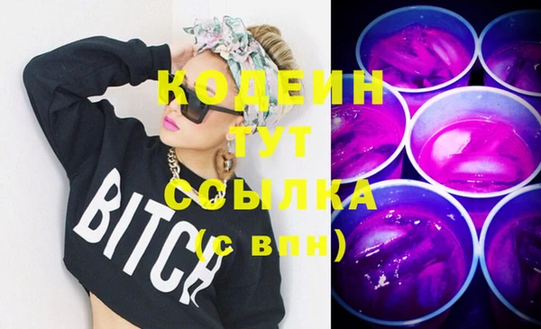 индика Бронницы
