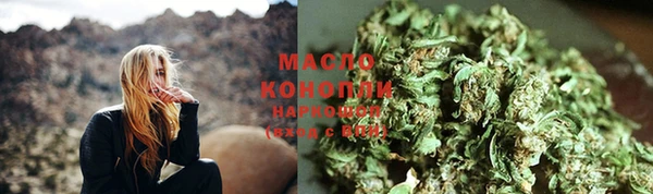 индика Бронницы