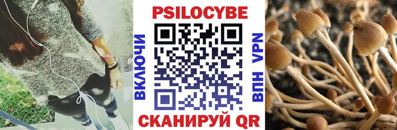 Псилоцибиновые грибы ЛСД  kraken сайт  Сосногорск 